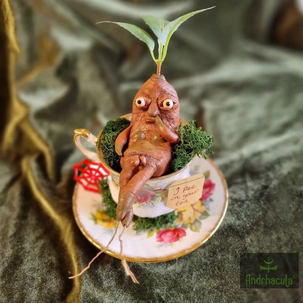 Manny the Mandrake
