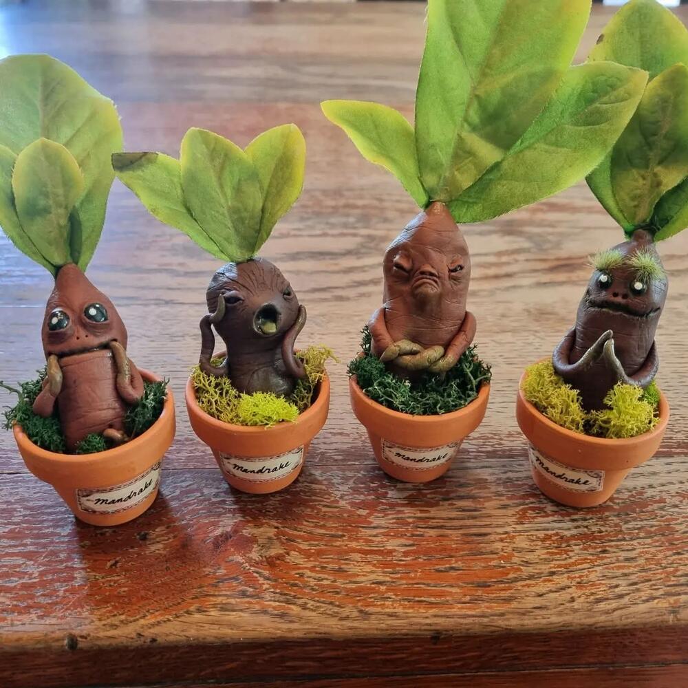 The Mandrake Nursery
